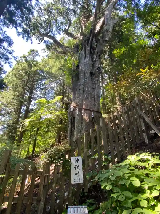 玉置神社(奈良県)