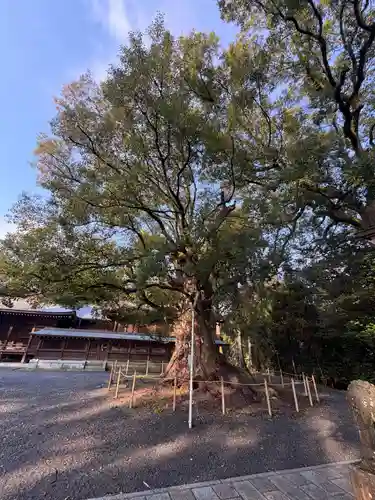 千栗八幡宮(佐賀県)