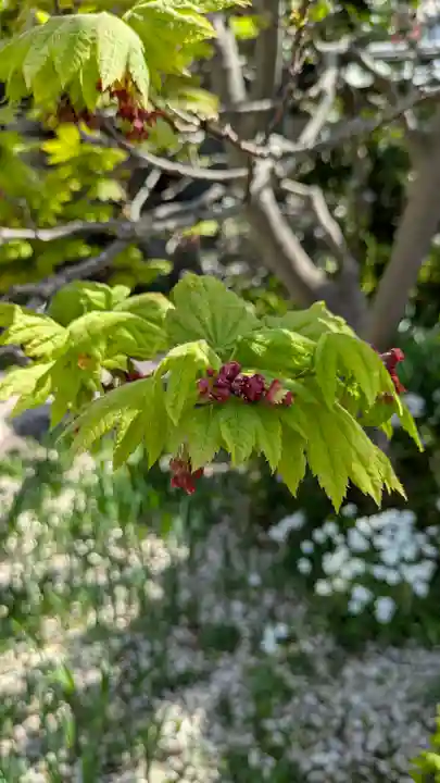 上宮王院聖徳寺(京都府)