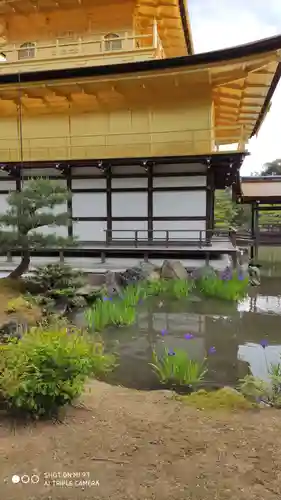 鹿苑寺（金閣寺）の庭園