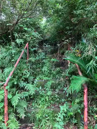 神明神社の自然