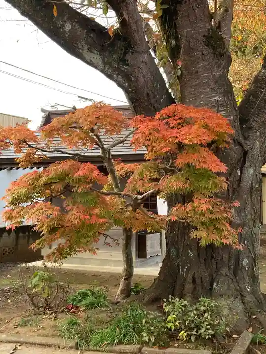 観音寺(千葉県)