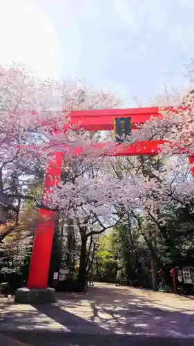 冠稲荷神社の鳥居