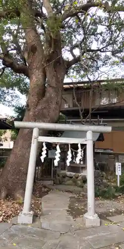 菅原神社(神奈川県)