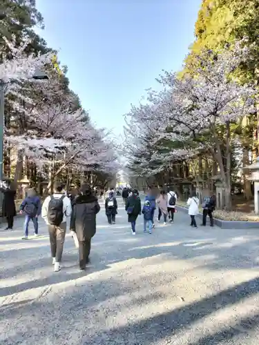 北海道神宮の景色