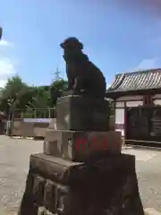 羽田神社の狛犬