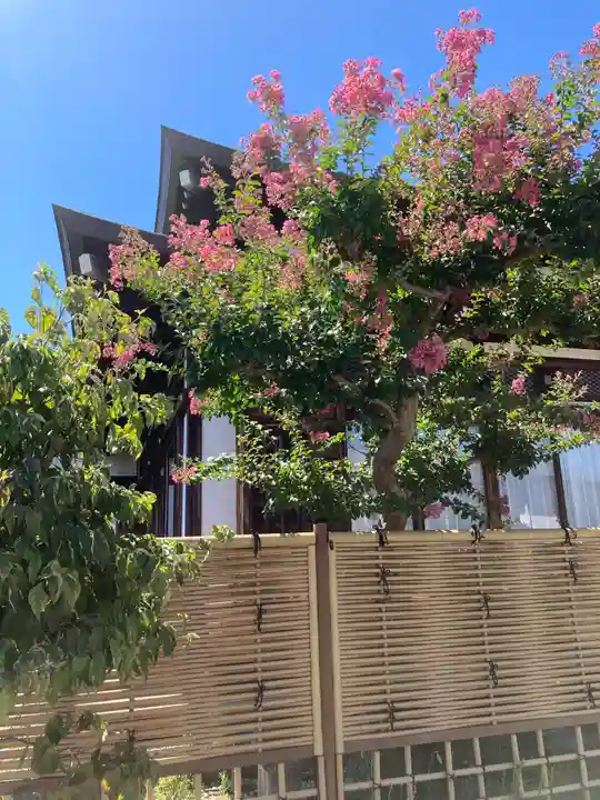 大本山高林寺の自然