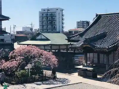 西新井大師総持寺の本殿・本堂