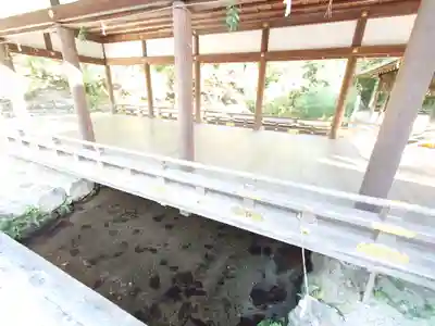 賀茂別雷神社（上賀茂神社）(京都府)