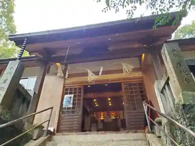 天津神社の本殿・本堂