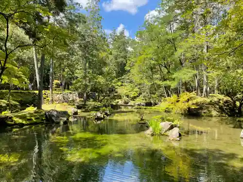西芳寺(京都府)