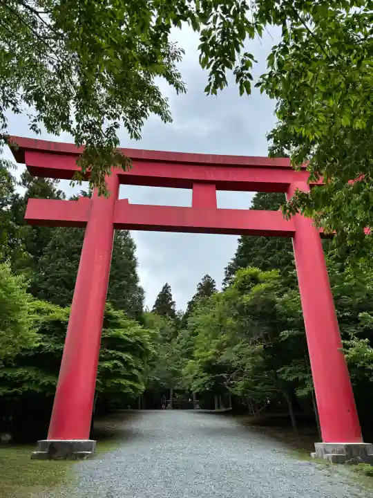 砥鹿神社(奥宮)の{uncategorized: "未分類", other: "その他", undefined: "問題あり", building: "その他建物", grave: "お墓", sacred_gate: "鳥居", guardian: "狛犬", statue: "像", buddha: "仏像", history: "歴史", nature: "自然", garden: "庭園", animal: "動物", pagoda: "塔", temizu: "手水舎", mountain_gate: "山門・神門", sanctuary: "本殿・本堂", subordinate: "末社・摂社", art: "芸術", scenery: "景色", jizo: "地蔵", ema: "絵馬", goshuin: "御朱印", omikuji: "おみくじ", items: "授与品その他", amulet: "お守り", goshuincho: "御朱印帳", eats: "食事", festival: "お祭り", votive_dance: "神楽", shichigosan: "七五三参", wedding: "結婚式", experience: "体験その他", initially: "初詣", around: "周辺", anti_infection: "感染症対策"}