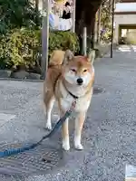 感通寺(東京都)