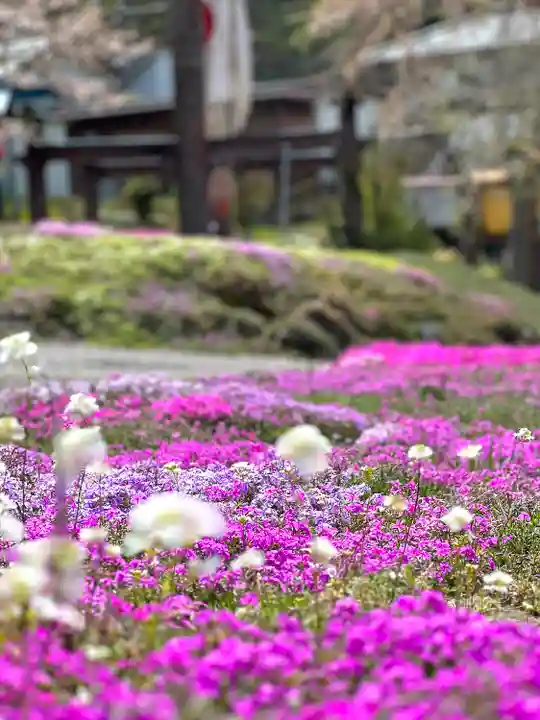 山家神社の自然