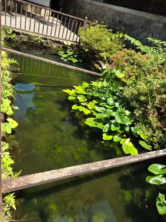 飛驒一宮水無神社(岐阜県)