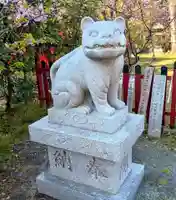 大江神社の狛犬
