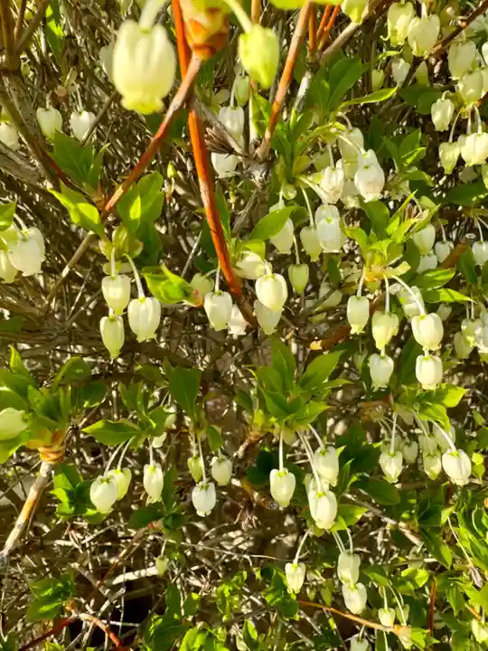 西住院(京都府)