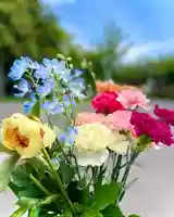 伊達神社(北海道)