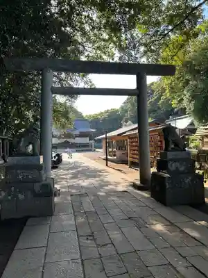 酒列磯前神社の鳥居