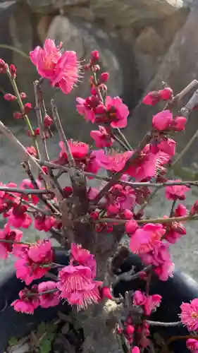 菅原神社の自然