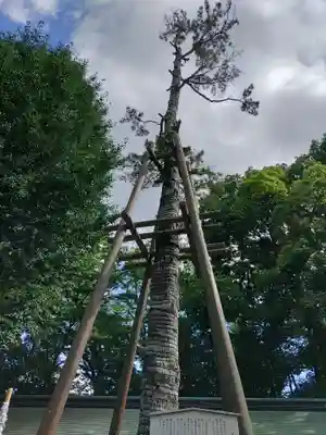 荻窪八幡神社(東京都)