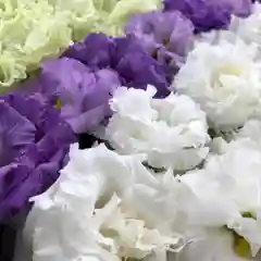 鹿島台神社の自然