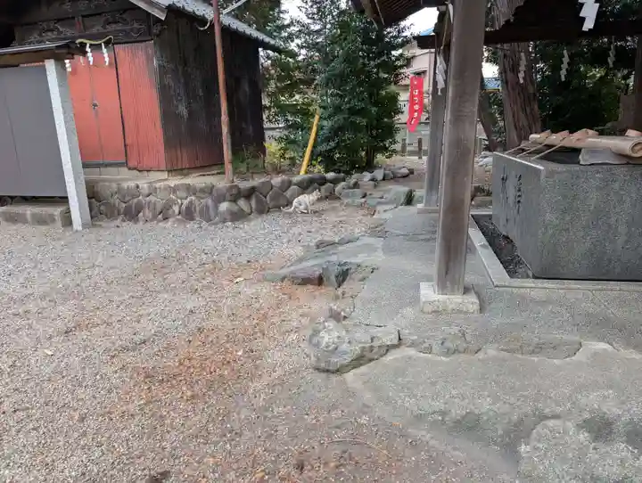 八幡社(柏井町)の動物