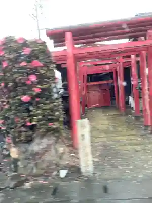 稲荷神社（神道照王教会）の鳥居
