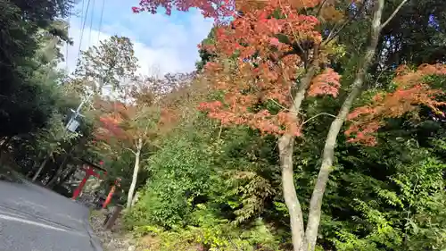 吉田神社(京都府)