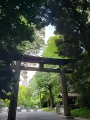 明治神宮の鳥居