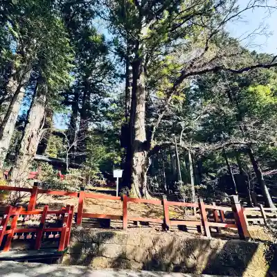 日光二荒山神社(栃木県)