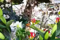 三津厳島神社(愛媛県)