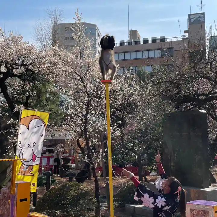 湯島天満宮のお祭り