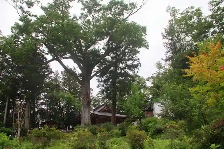 阿久津「田村神社」(郡山市阿久津町)旧社名:伊豆箱根三嶋三社の景色
