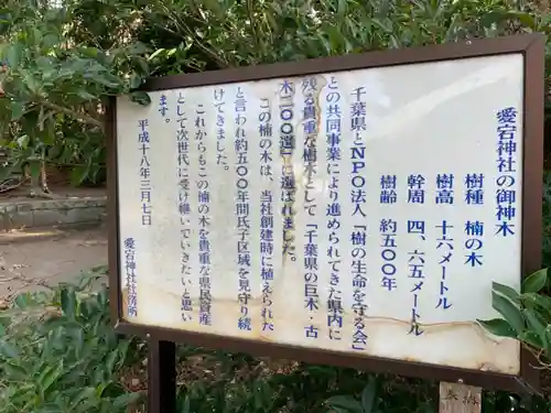 愛宕神社のその他建物