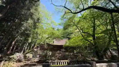 室生寺の{uncategorized: "未分類", other: "その他", undefined: "問題あり", building: "その他建物", grave: "お墓", sacred_gate: "鳥居", guardian: "狛犬", statue: "像", buddha: "仏像", history: "歴史", nature: "自然", garden: "庭園", animal: "動物", pagoda: "塔", temizu: "手水舎", mountain_gate: "山門・神門", sanctuary: "本殿・本堂", subordinate: "末社・摂社", art: "芸術", scenery: "景色", jizo: "地蔵", ema: "絵馬", goshuin: "御朱印", omikuji: "おみくじ", items: "授与品その他", amulet: "お守り", goshuincho: "御朱印帳", eats: "食事", festival: "お祭り", votive_dance: "神楽", shichigosan: "七五三参", wedding: "結婚式", experience: "体験その他", initially: "初詣", around: "周辺", anti_infection: "感染症対策"}