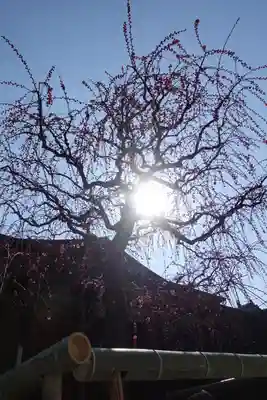菅原天満宮（菅原神社）(奈良県)