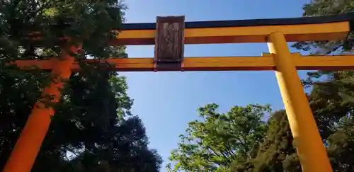 川越氷川神社の鳥居