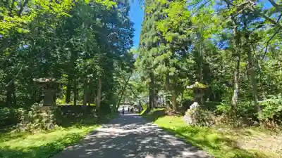 戸隠神社奥社(長野県)