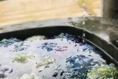 白鳥神社の手水舎