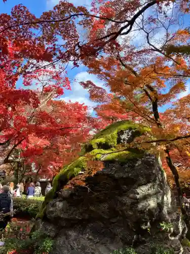 宝厳院(京都府)