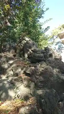 葛飾神社の狛犬