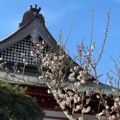 勝覚寺の自然