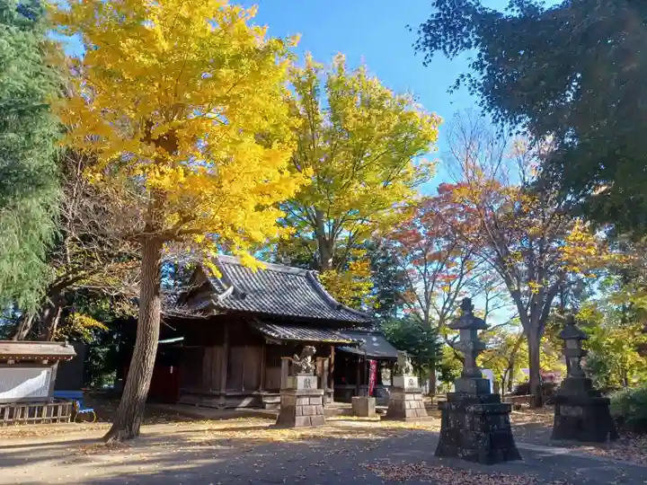 仙波氷川神社の自然