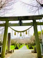 金村別雷神社(茨城県)