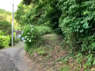 浪切不動尊の自然