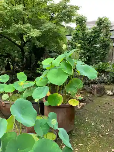 伊勢の国 四天王寺の庭園