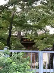 道場寺の自然