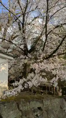 知恩院(京都府)
