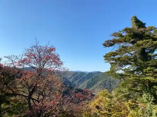 金毘羅社の景色